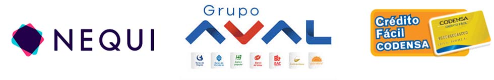 Pasarela de pagos Rastreo Satelital 4